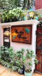 On the House Boutique B&B Hotels in New Delhi