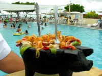 ホテル バルネアリオ サンファン コサラ のホテル