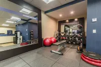 Hampton Inn Winchester-University/Mall Area - Gym