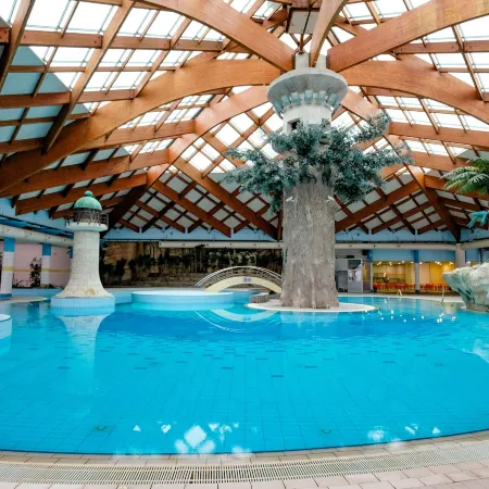 Hotel Hills Sarajevo Congress & Thermal Spa Resort