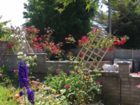 2-Bed House Sleeps 4 - Enclosed Garden - Tv & WiFi Hotels near Tesco Express