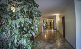 B&B Mansarda - Housity