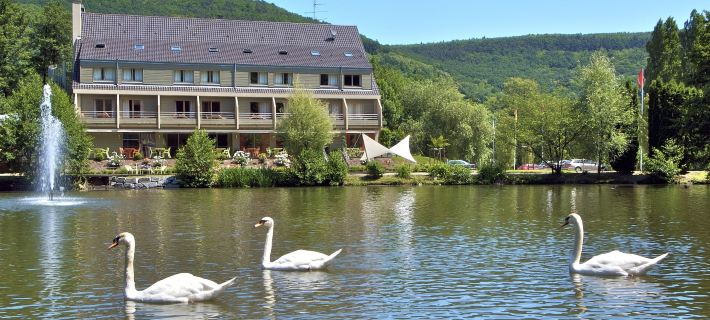 Hôtel les Rives Hotels in Alsace