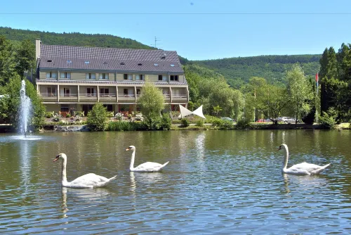 Hôtel les Rives
