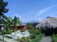 Hospedaje Bullshark Hotel di 