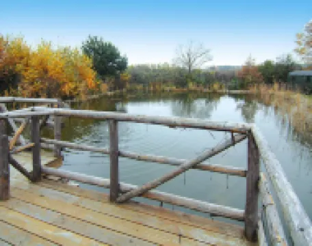 فيرينوونونج، دولجو دوبريتز