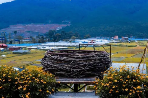 サクオ リゾート