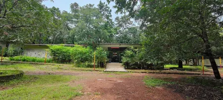 Tree Paradise Resort