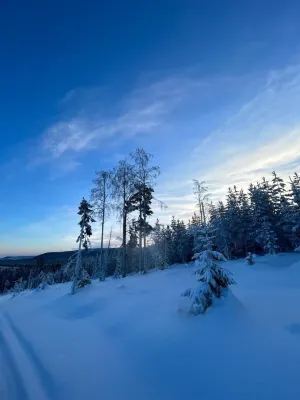 Nederhögen Vildmarkscenter Hotels in 