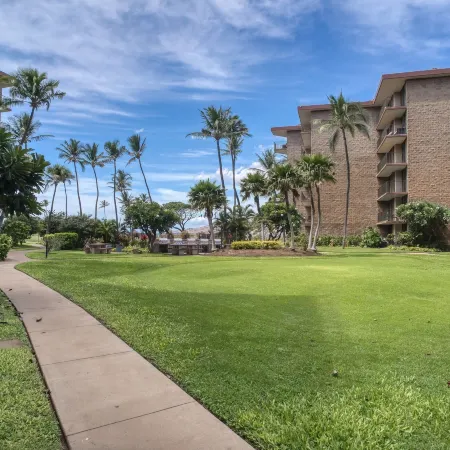 Sunny and Soothing Oceanfront Vistas