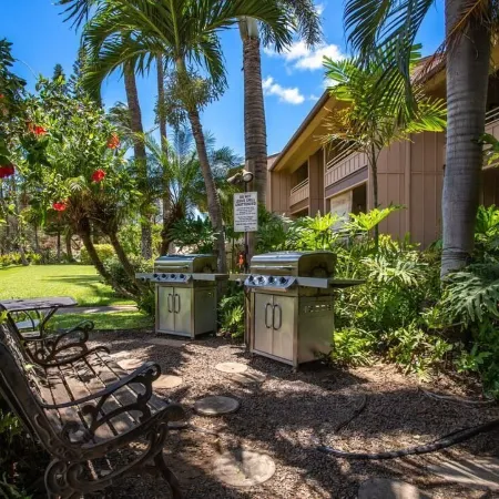 Modern & Tropical Oceanside Vistas