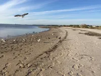 Hermit Crab 4 minutes to Keaton boat ramp and Beach