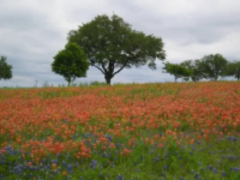 The Barta bungalow in Shiner Hotels in Shiner