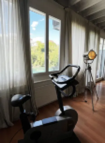 Luxury loft downtown Geneva