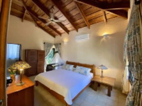 Beautiful Villa, Private Pool, Amazing Gardens! Walkable 5 Bedrooms Hotels in Puerto Carrillo