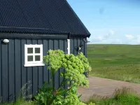 View of volcano Hekla and horse pastures, very cozy and quiet,