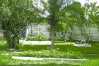 New 3 bed house , open plan kitchen / Lounge.. Sleeps 6. Borehole water, solar Hotels near Hatfield Shopping Center