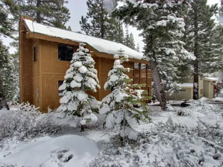 Family-Friendly, Pet-Friendly, Tree-Surrounded Tahoe City Vacation Home