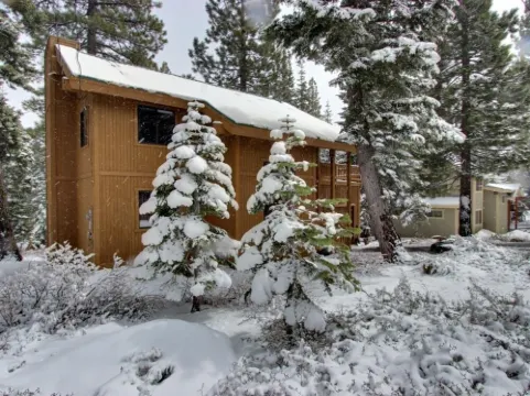 Family-Friendly, Pet-Friendly, Tree-Surrounded Tahoe City Vacation Home
