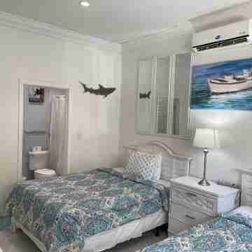 NEW & IMPROVED OCEANFRONT VILLA W/ INFINITY POOL & BEST SNORKELING! Sleeps 20 Rooms