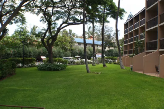 Newly Renovated Ground Floor Condo In Paradise