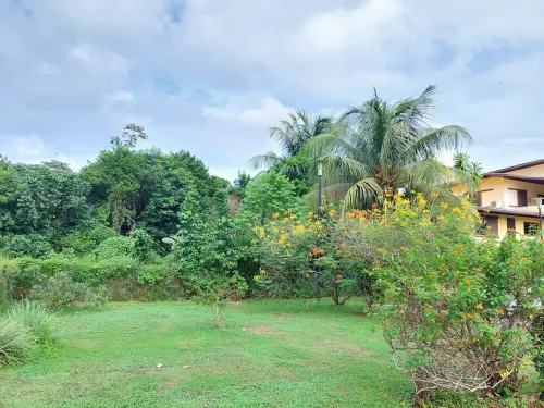 La perle du Rorota - Large luxury studio with swimming pool and private beach access