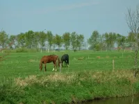 Beautiful fine apartment with garden, meadow, view of water and land