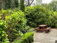 Relaxen in Sfeervolle Bungalow Nabij Nationaal Park Dwingelderveld Drenthe Hotels in 