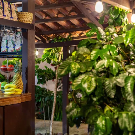 Alajuela City Hotel & Guest House Отели рядом с достопримечательностью «Зоопарк Аве»