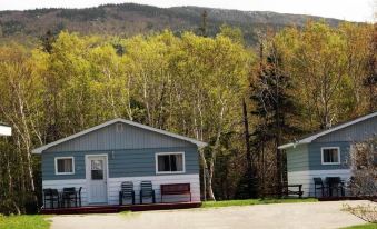 Mountain View Motel & Cottages