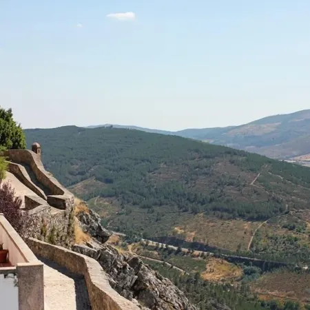 Casa da Arvore