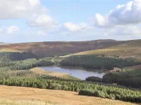 The Shearer's Hut - 3-Star