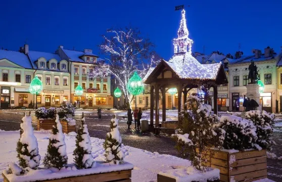 阿蒙吧薩多斯基熱舒夫酒店