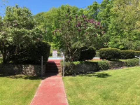 플럼 포인트 로지