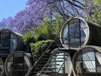 Tubohotel Hotels near Tepozcuencos