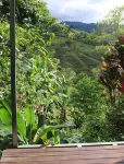 Cabañas Colibrí Tayutic - Mountain view