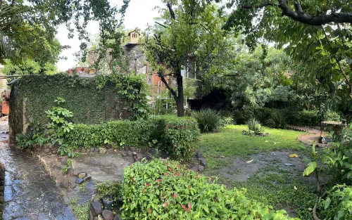 La Casa de Los Mangos Ajijic