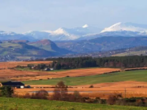 Pine Lodge Hotels in Dingwall
