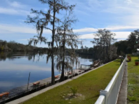 Suwannee Gables Hotels in Dixie County