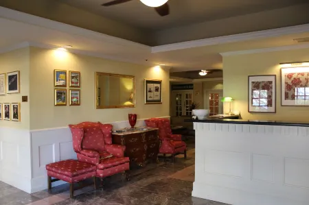 Hotel Chester Отели в г. Октибэха