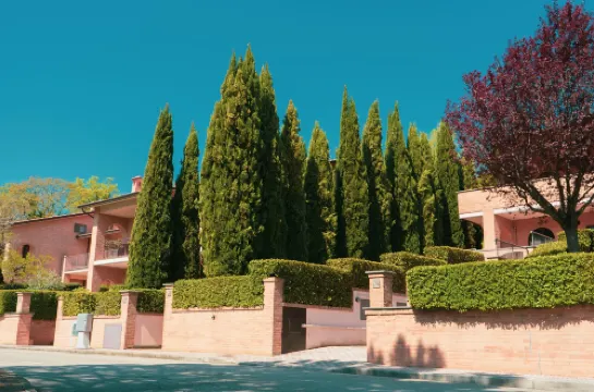 Carpediem Assisi Living Club
