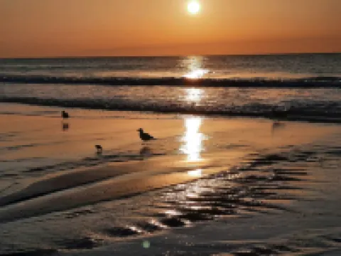 Almost Heaven OCEANFRONT B Toes In The Sand Directly on BEACH Pets OK