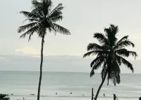 Mich's Surf Villa & Hostel