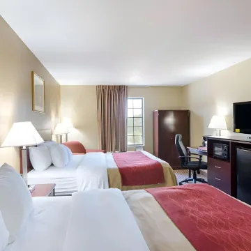 Comfort Inn New River