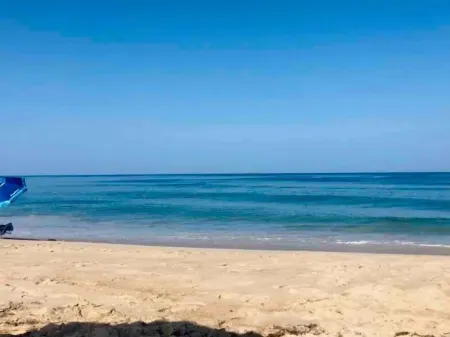 DownWinder- Spacious 3 BR House - Walk to Beach Отели в г. Китти-Хок