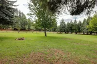 Cozy Cabin on 1 Acre in Premier Pine Neighborhood - Homestays