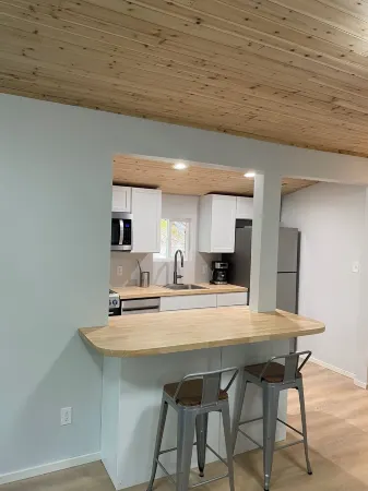 Cozy cabin with WiFi in charming Au Train, Completely remodeled as of June 2025