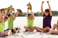 Resort at Longboat Key Club - Sea View