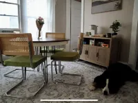 Cozy Dog-Friendly Boho Duplex Hotels in Lakewood