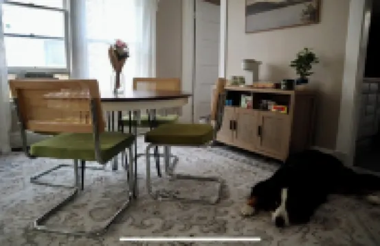 Cozy Dog-Friendly Boho Duplex